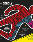 Big Book Of Facts: Usborne