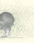Dogs by Emily Gravett