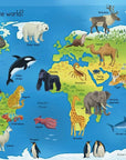My First Encyclopedia : Usborne
