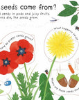 First Questions and Answers: How do flowers grow?