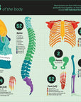 Big Book Of Facts: Usborne