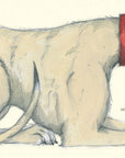 Dogs by Emily Gravett