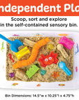 Sensory Bin Beach Activity Bin for Kids