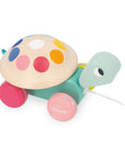 Pull-Along Turtle