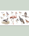 Our Big Book of Animals (Baby Board Book)