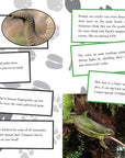 Incredible Book of Outrageous Facts for Kids by Nancy Furstinger