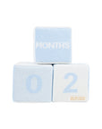 Blue Blaylock Blocks