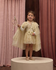 Noralee Champagne Star Tulle Cape