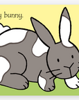 That's Not My Bunny
