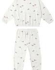 Mallard Duck Soft Set
