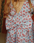 Avi Blue Floral Bow Back Dress