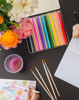 Premium Colored Pencils Set by Pippi Post