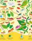 Can you Spot? Bugs: Kirsteen Robson
