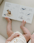 Wishy Washy: A Board Book of First Words and Colors