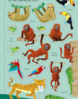 Little First Stickers Animals : Usborne