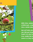 Look and Learn Nature Detective by Sarah Parvis