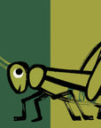 Spring Street Touch and Feel: Bugs by Boxer Books