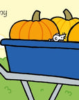 That's Not My Pumpkin... : Usborne