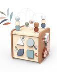 5 in 1 Activity cube