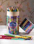 50 Double-Sided Pencils