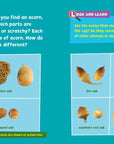 Look and Learn Nature Detective by Sarah Parvis