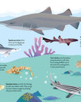 Usborne Book and Jigsaw: Sharks : Usborne
