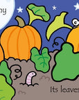 That's Not My Pumpkin... : Usborne