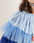 Blue Bird Costume