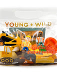 Young Wild Friedman Construction Sensory Dough Bag