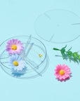 Nature Kaleidoscope Set DIY Science Kit for Kids