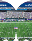 New York Giants 101