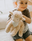 Shep the Sheep