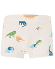 Kyte Briefs Set - Dinos & Slate