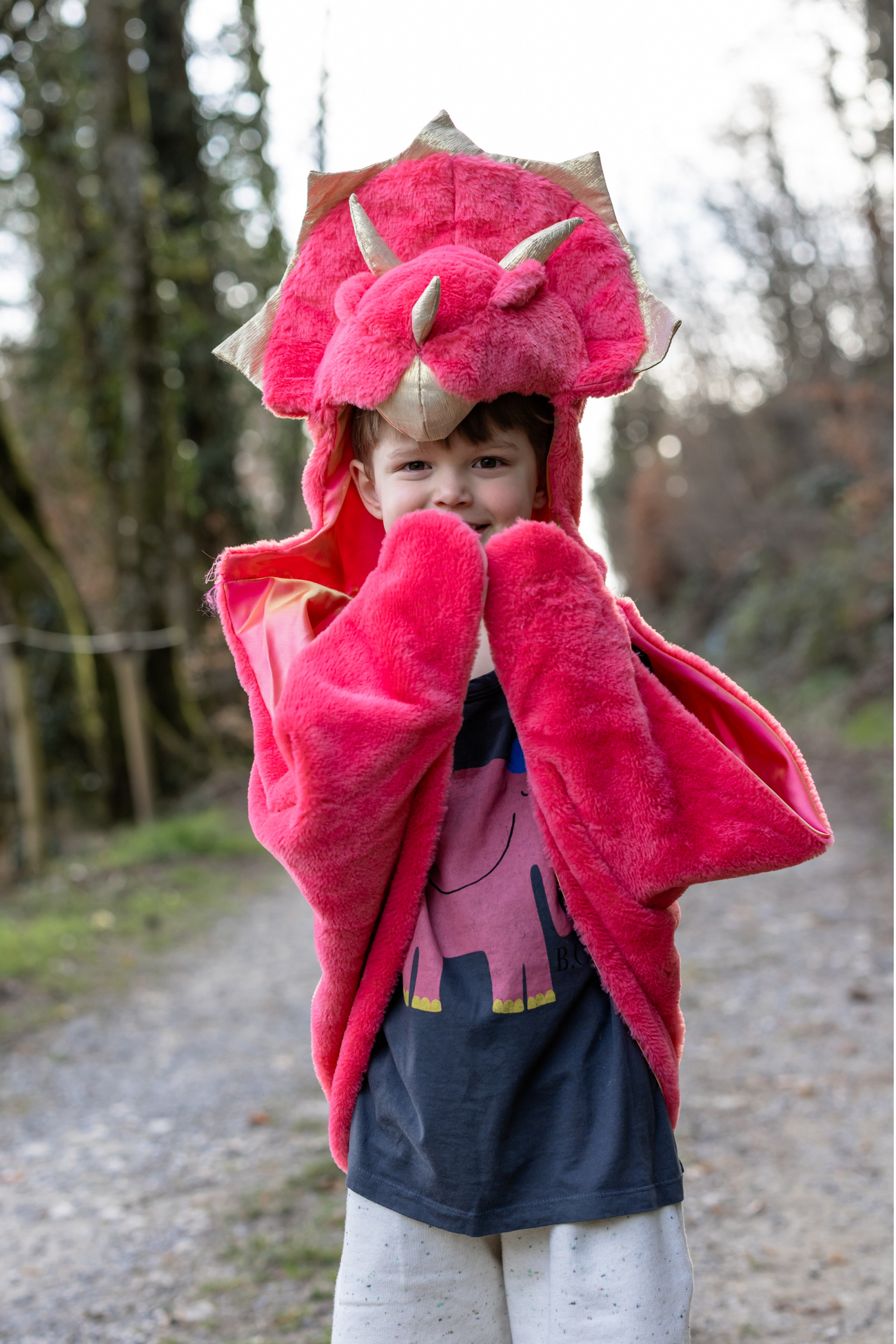 Triceratops Cape