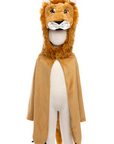 Storybook Lion Cape