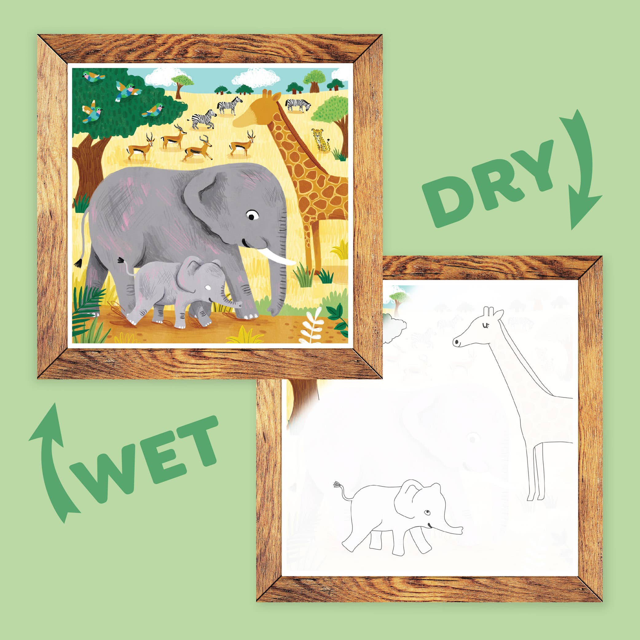 Paint with Water- Safari Adventures