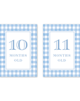 Cavalier Garden Gingham Blue Milestone Cards