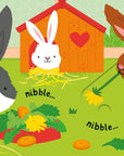 Slide And See Pets: Fiona Watt & Stella Baggott
