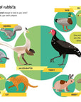 Lots Of Things To Know About Dinosaurs: James Maclaine