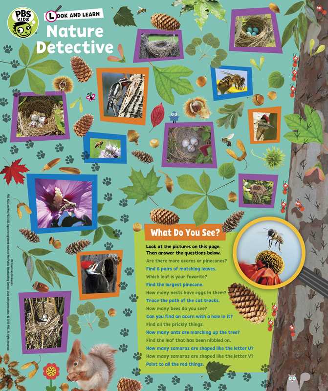 Look and Learn Nature Detective by Sarah Parvis