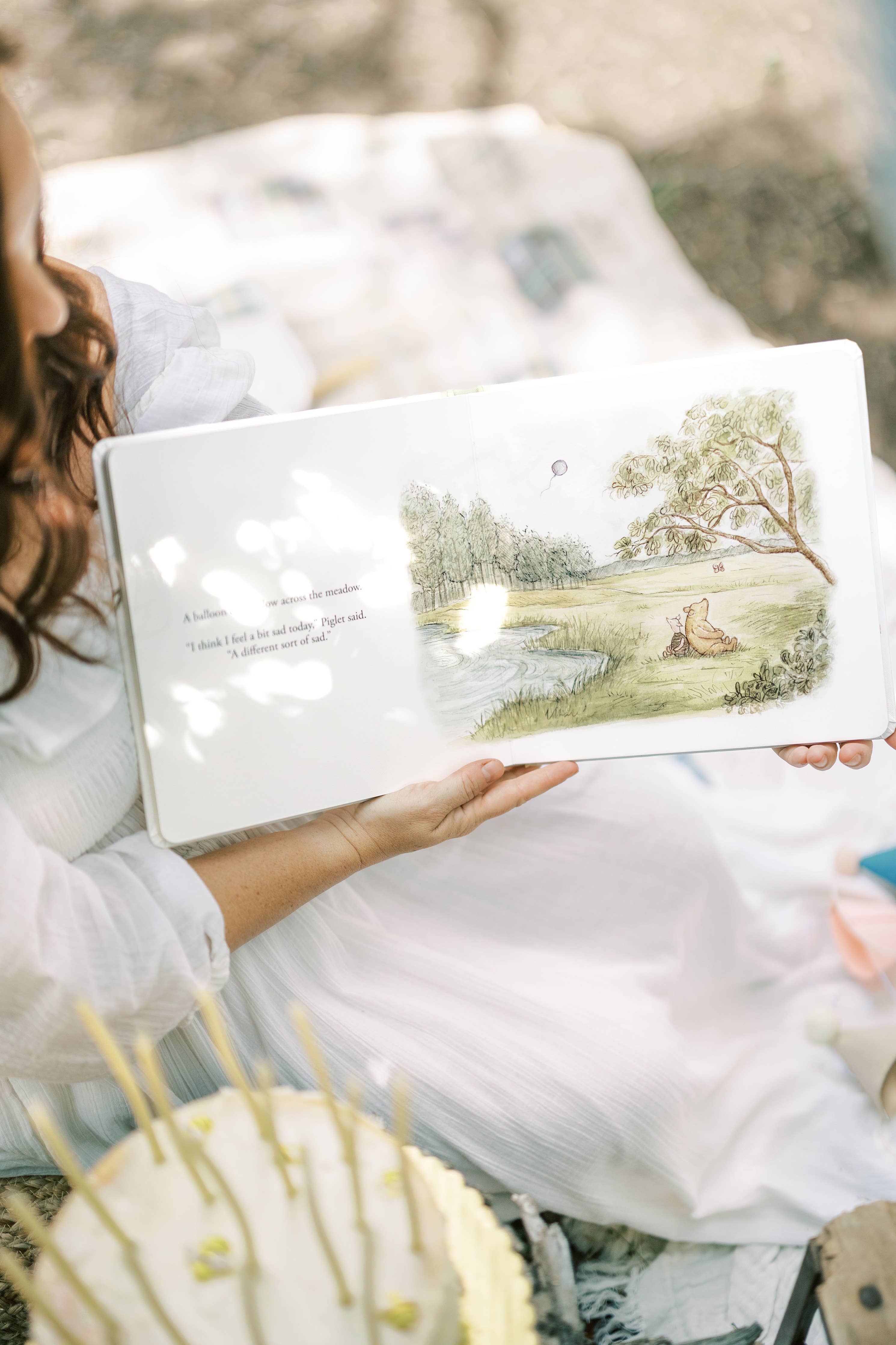 Winnie-the-Pooh: Finding Feelings