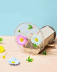 Nature Kaleidoscope Set DIY Science Kit for Kids