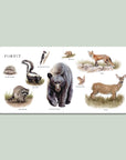 Our Big Book of Animals (Baby Board Book)