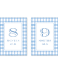 Cavalier Garden Gingham Blue Milestone Cards