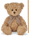 Theodore the Teddy Bear