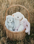 Little 12" Nibble Bunny - Pink