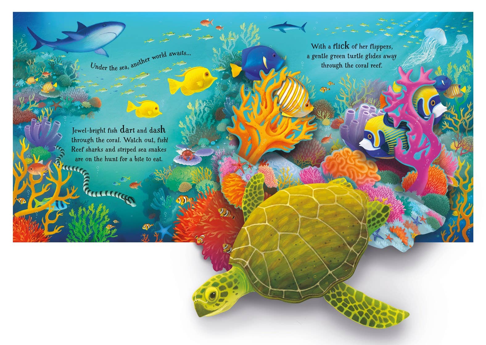 Pop-Up Animals : Usborne