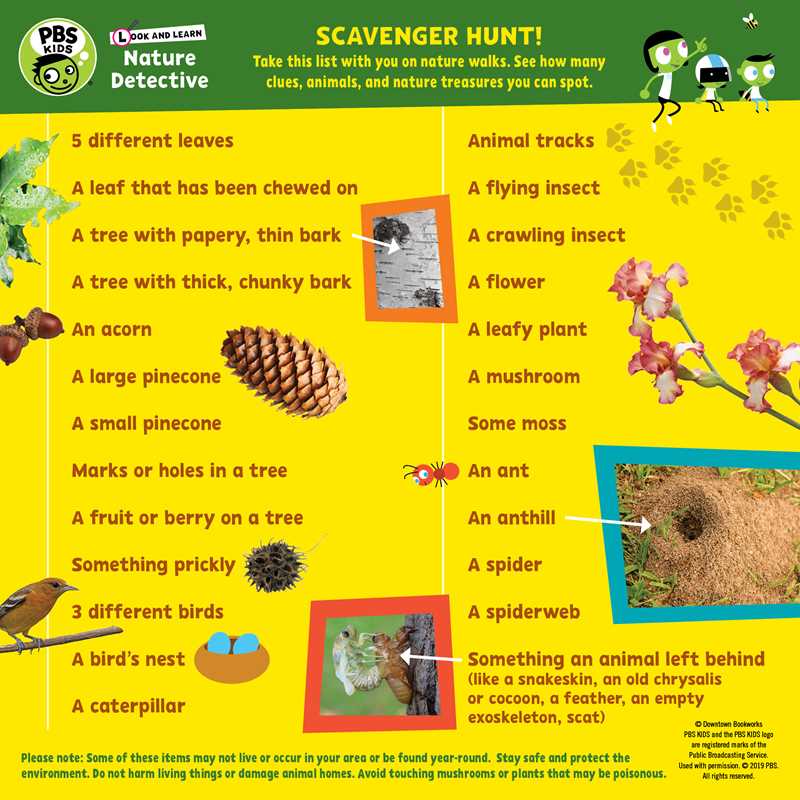 Look and Learn Nature Detective by Sarah Parvis