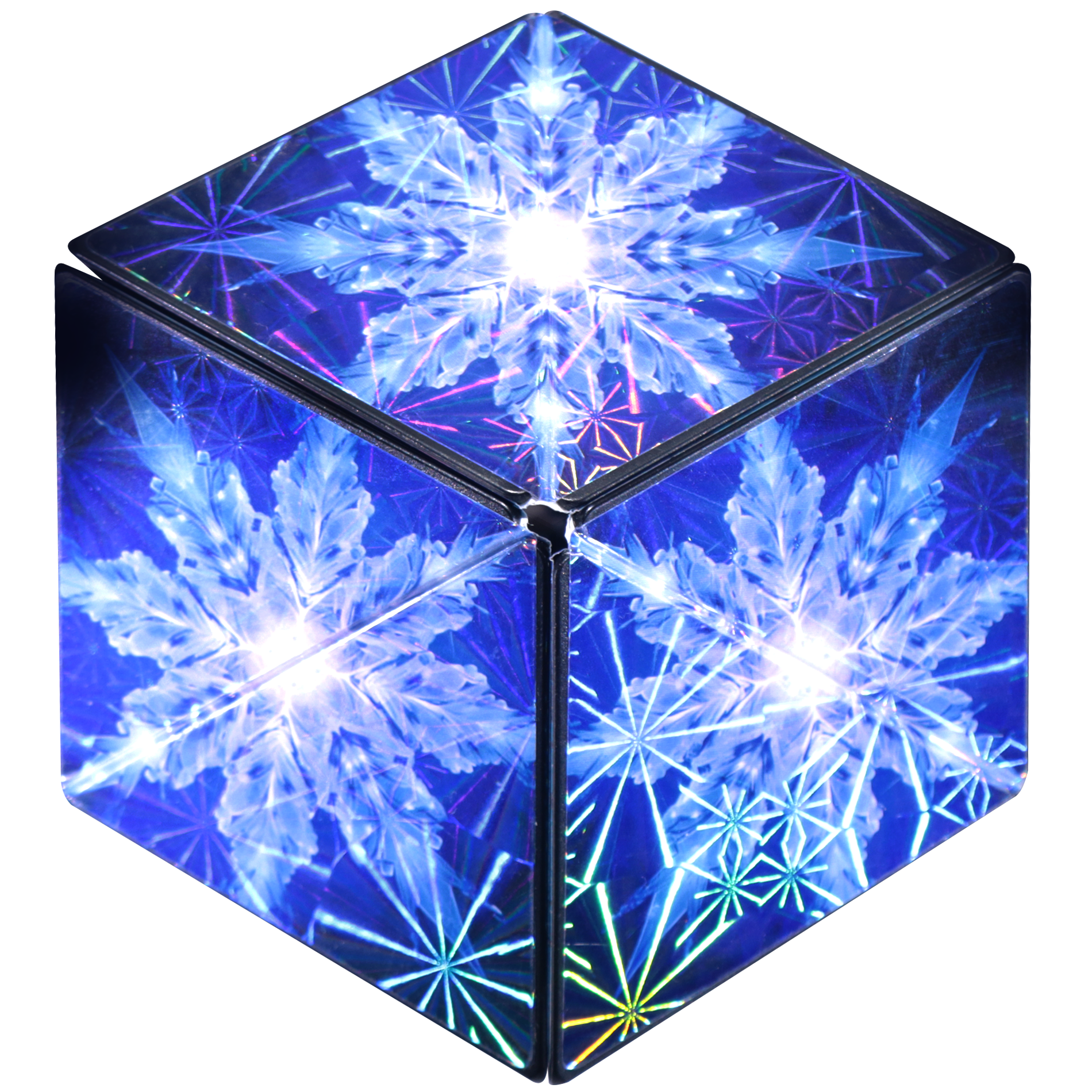 Shashibo-  Polar 2.0