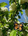 Hand-painted Mini Monarch Butterfly Claw Hair Clip | Eco-Friendly